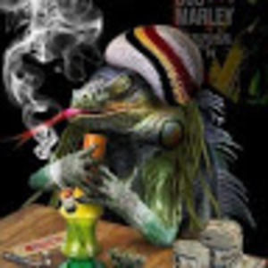 Meet your Posher, Travis